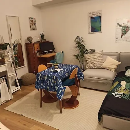Studio 1 Personne A 300 M De La Grande Plage Apartment *
